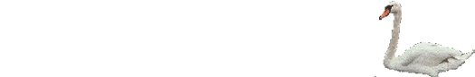 cisne01.gif