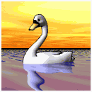 cisne05.gif