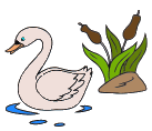 cisne06.gif
