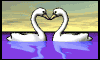 cisne13.gif