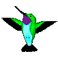 colibri03.gif