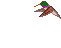 colibri04.gif