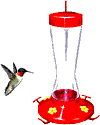 colibri05.gif