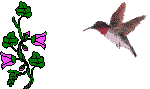 colibri06.gif