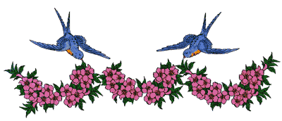 colibri14.gif
