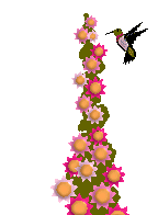 colibri16.gif