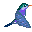 colibri17.gif