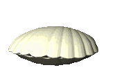 concha11.gif