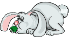 conejo101.gif