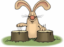conejo106.gif