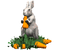 conejo112.gif