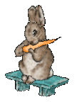 conejo114.gif