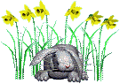 conejo116.gif