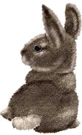conejo124.gif