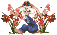 conejo126.gif