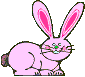 conejo18.gif