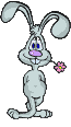 conejo34.gif