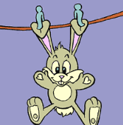 conejo39.gif