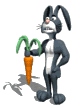 conejo49.gif