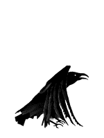 cuervo01.gif