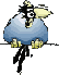 cuervo05.gif