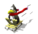 cuervo15.gif