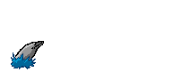 delfin06.gif