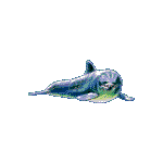 delfin11.gif