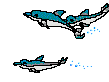 delfin26.gif