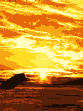 delfin39.gif