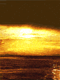 delfin40.gif