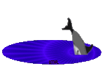 delfin55.gif