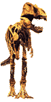 dinosaurio30.gif