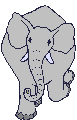 elefante03.gif