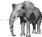 elefante31.gif
