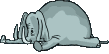 elefante39.gif