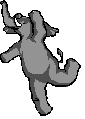 elefante45.gif