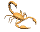 escorpion03.gif