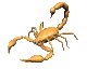 escorpion04.gif
