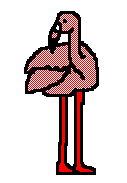flamenco03.gif