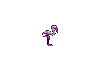 flamenco12.gif