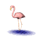 flamenco17.gif