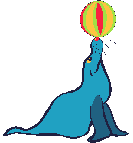 foca01.gif