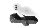 foca02.gif