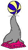 foca04.gif