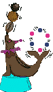 foca10.gif