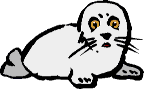 foca11.gif