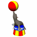 foca17.gif