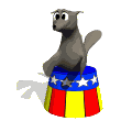 foca18.gif