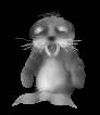 foca20.gif
